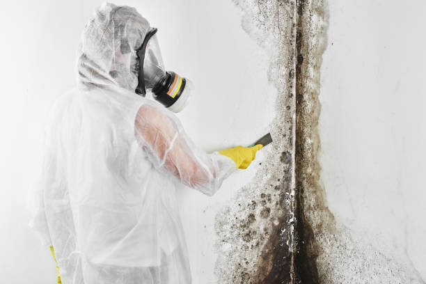 Crawl Space Mold Removal in Mokuleia, HI