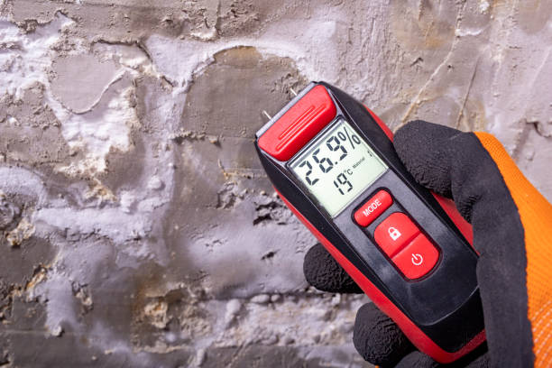 Best Local Mold Removal Service  in Mokuleia, HI