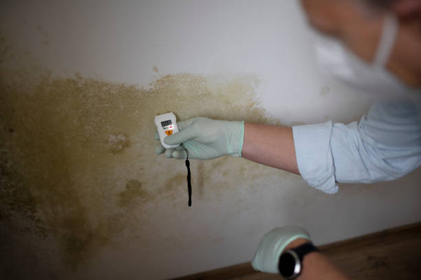 Best Toxic Mold Removal  in Mokuleia, HI