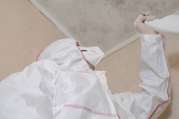 Best Emergency Mold Removal  in Mokuleia, HI
